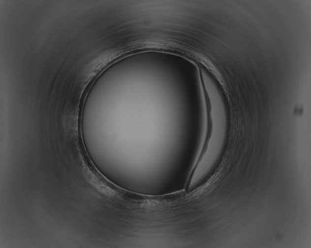 X0000091170938200708301152