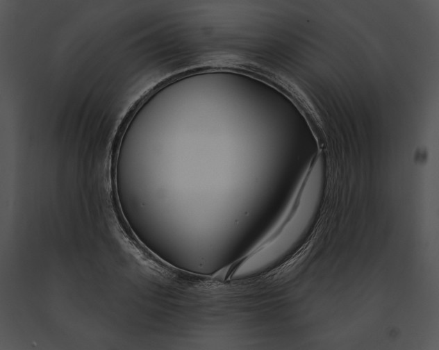 X0000091170939200708301152