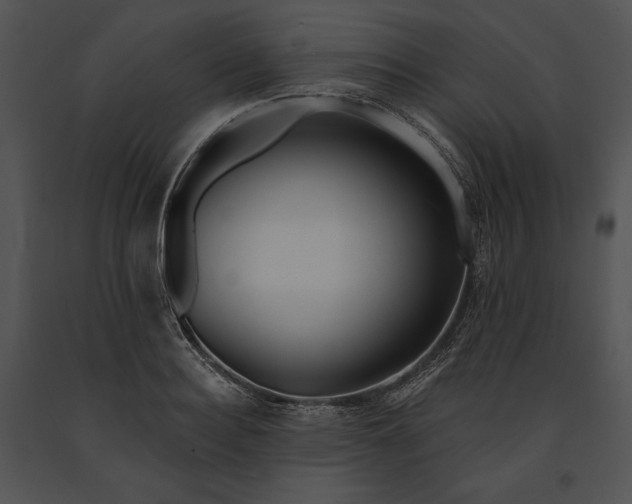 X0000091170940200708301152