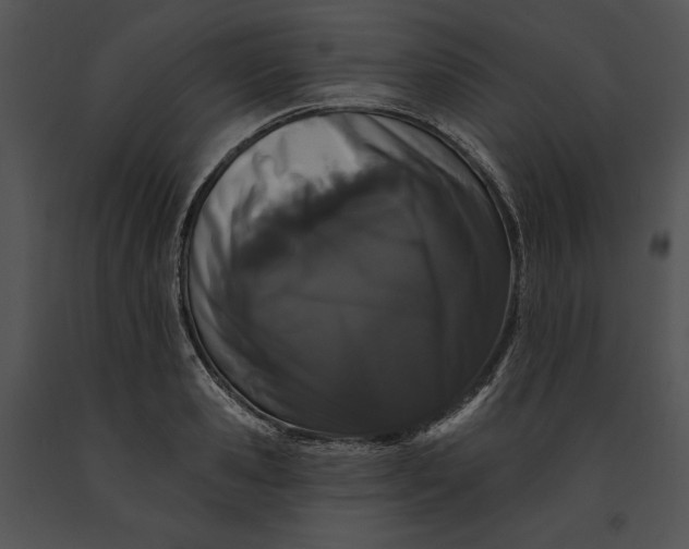 X0000091170941200708301152