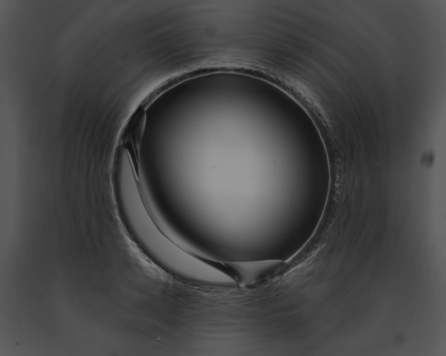 X0000091170942200708301152