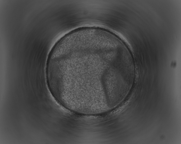 X0000091170943200708301152