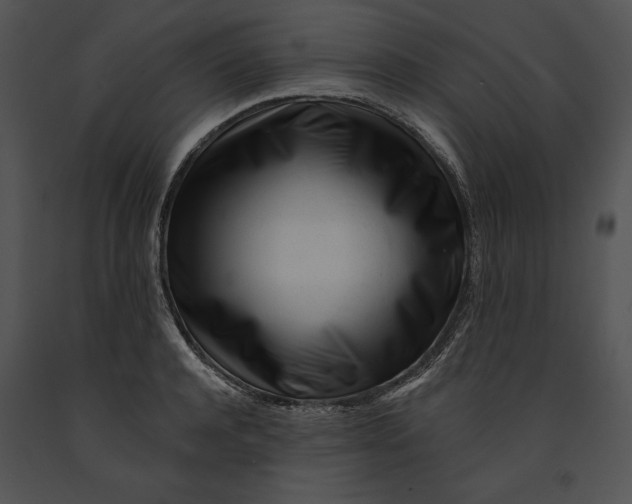 X0000091170944200708301152