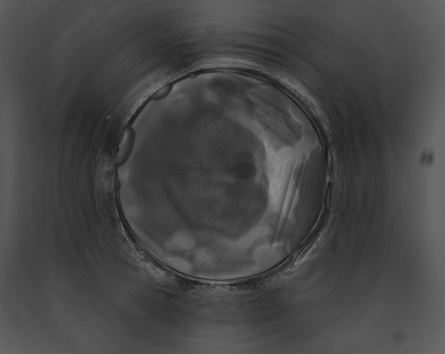 X0000091170945200708301152