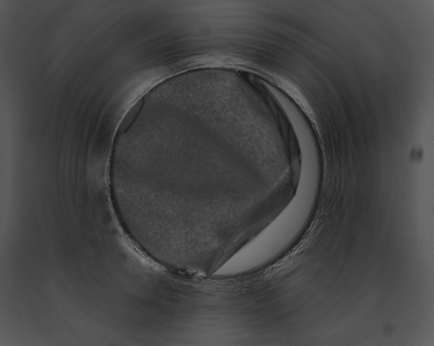 X0000091170946200708301152