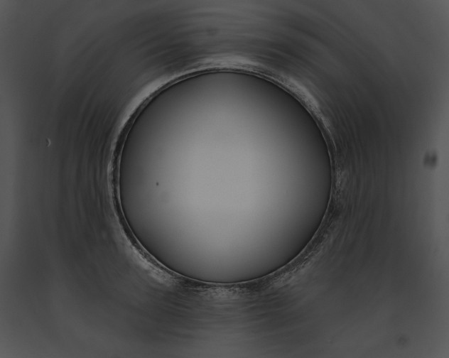 X0000091170947200708301152