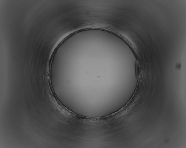 X0000091170948200708301152