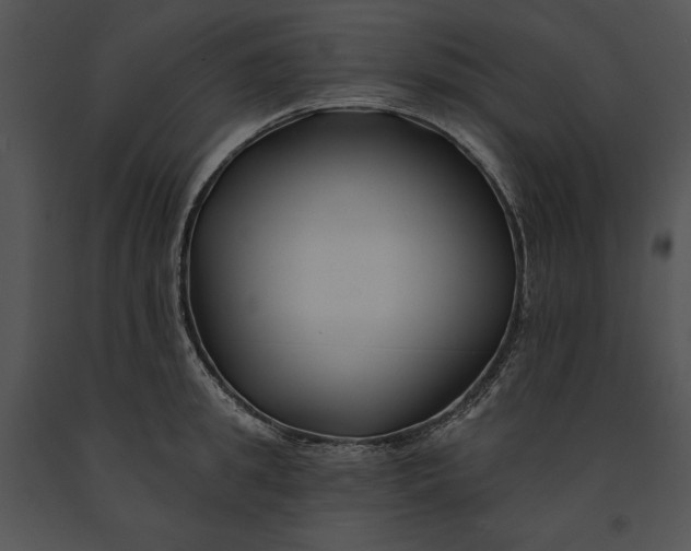 X0000091170949200708301152