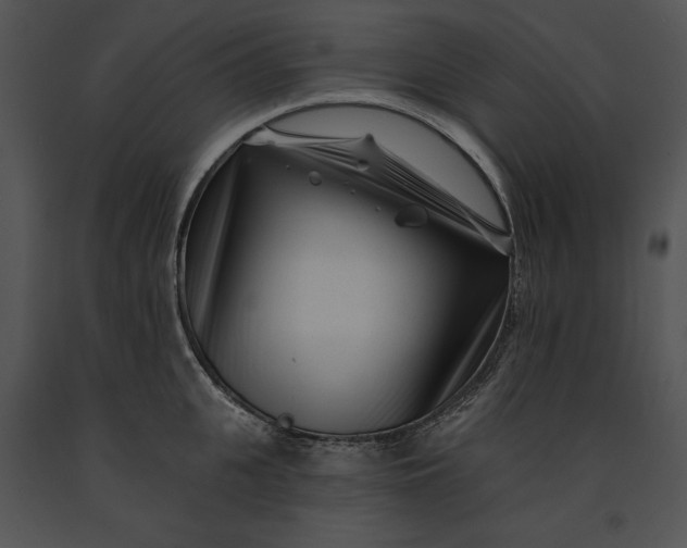 X0000091170951200708301152