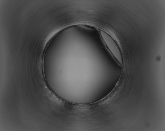 X0000091170952200708301153