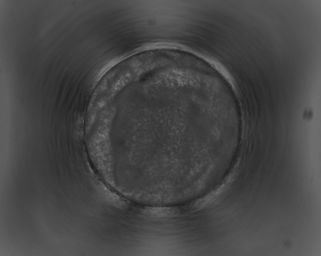 X0000091170953200708301153