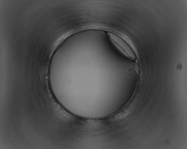 X0000091170954200708301153