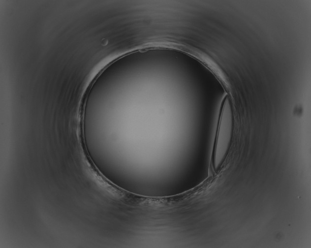 X0000091170955200708301153