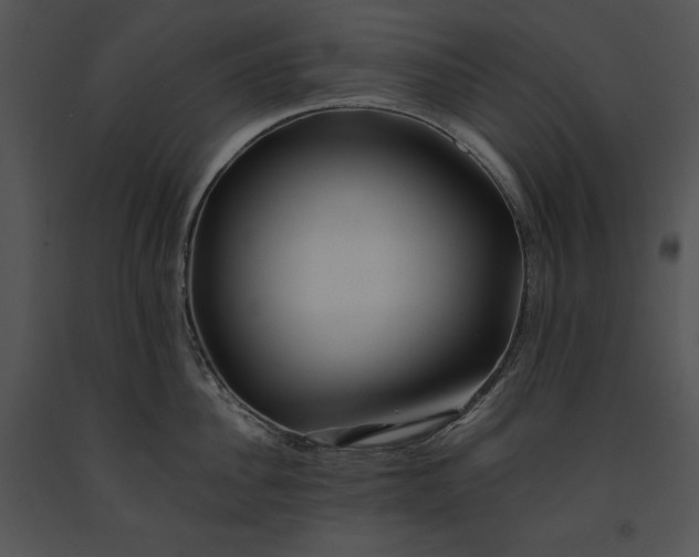 X0000091170956200708301153