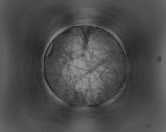 X0000091170957200708301153