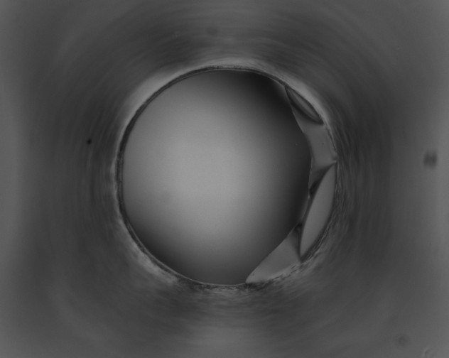 X0000091170959200708301153