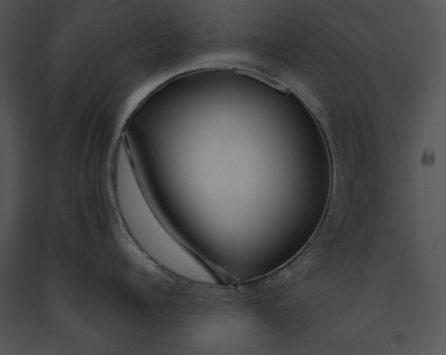 X0000091170960200708301153