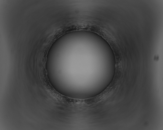 X0000091170961200708301152