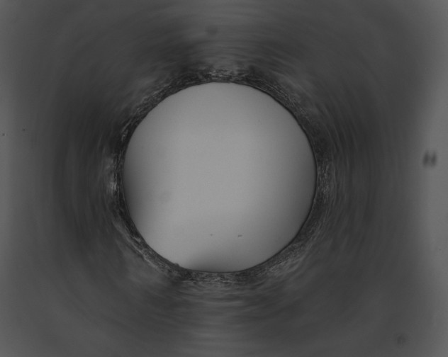 X0000091170962200708301152