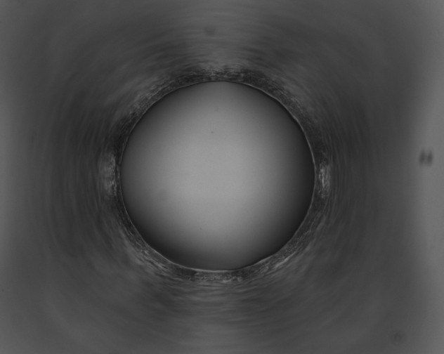 X0000091170963200708301152