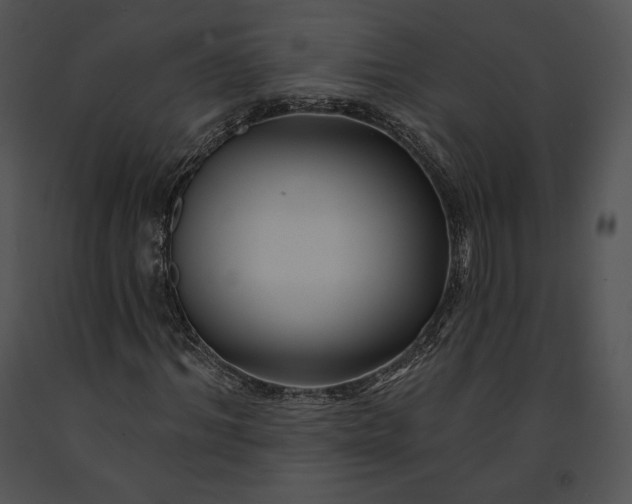 X0000091170964200708301152