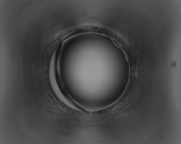 X0000091170965200708301152