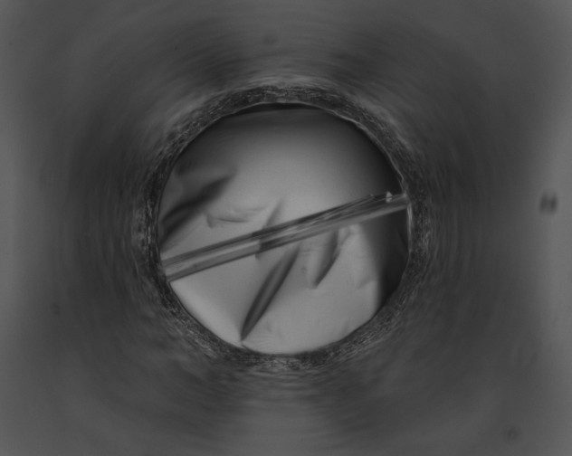 X0000091170966200708301152