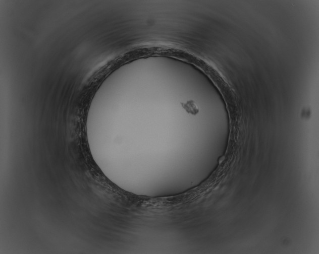 X0000091170967200708301152