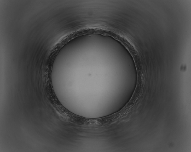 X0000091170968200708301152