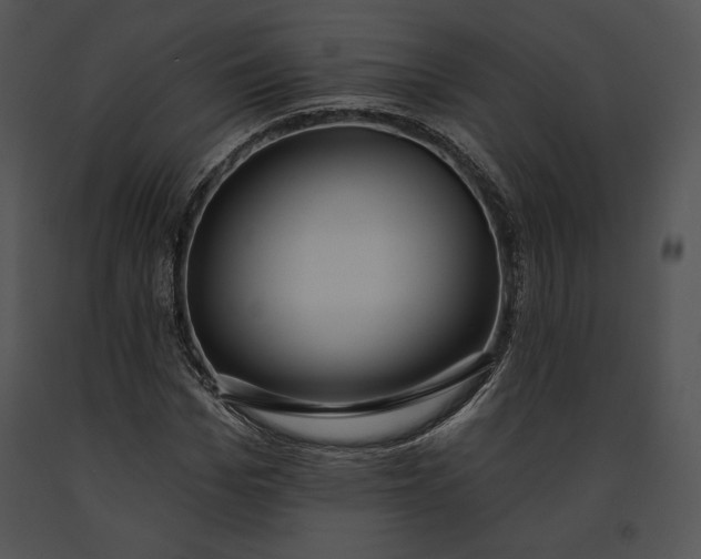 X0000091170969200708301152