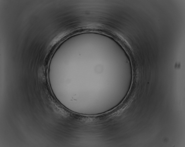 X0000091170970200708301152