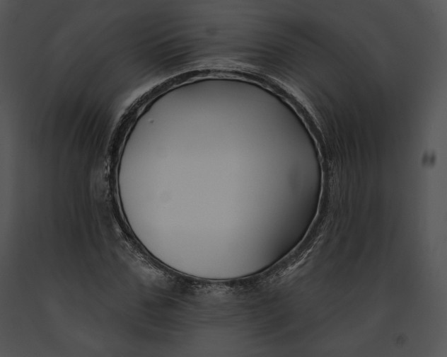 X0000091170971200708301152