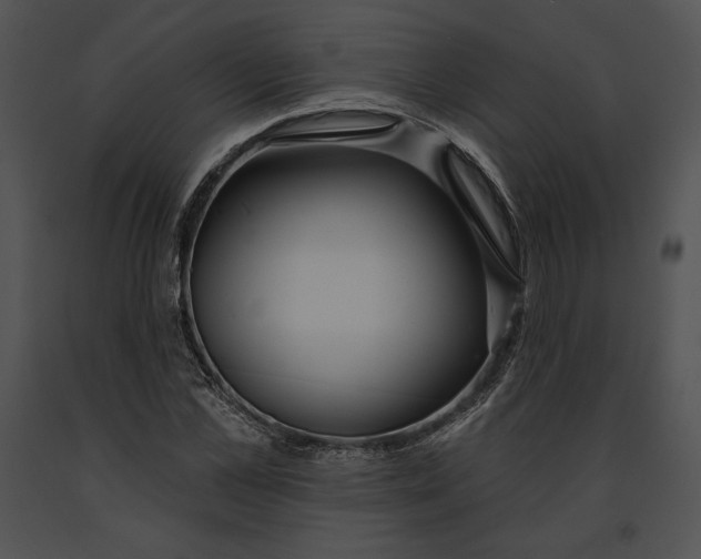 X0000091170973200708301152