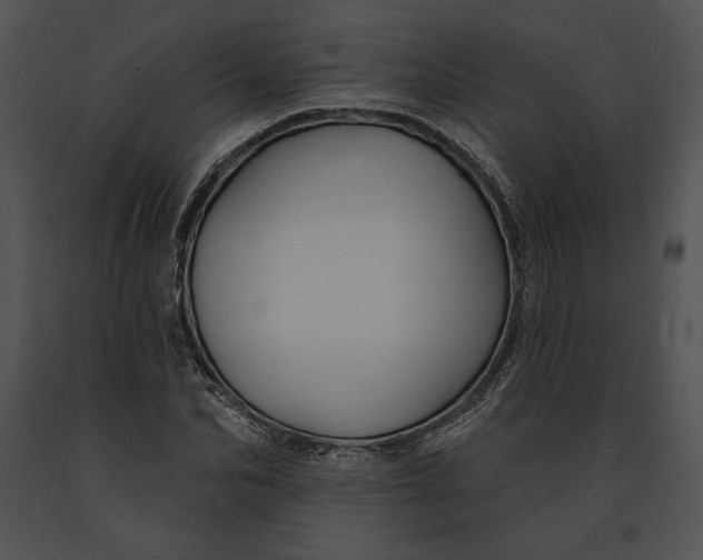 X0000091170974200708301152