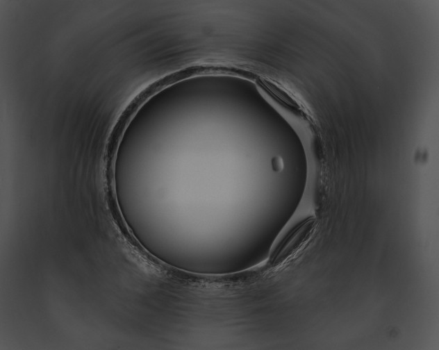 X0000091170976200708301152