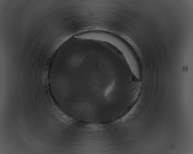 X0000091170977200708301152