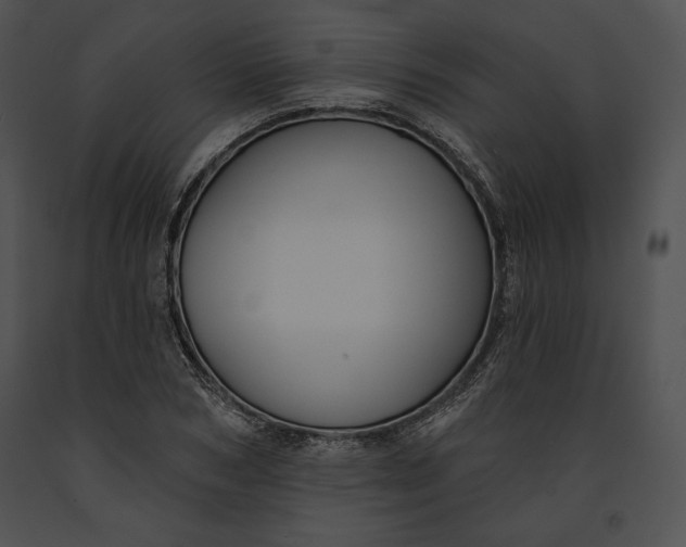 X0000091170978200708301152