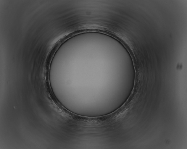 X0000091170979200708301152