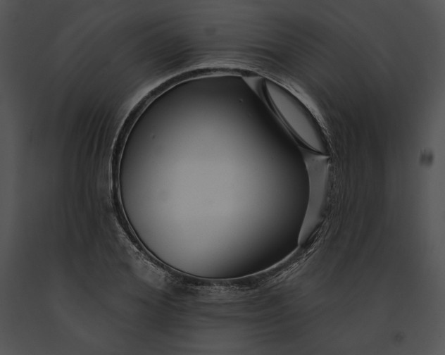 X0000091170980200708301152