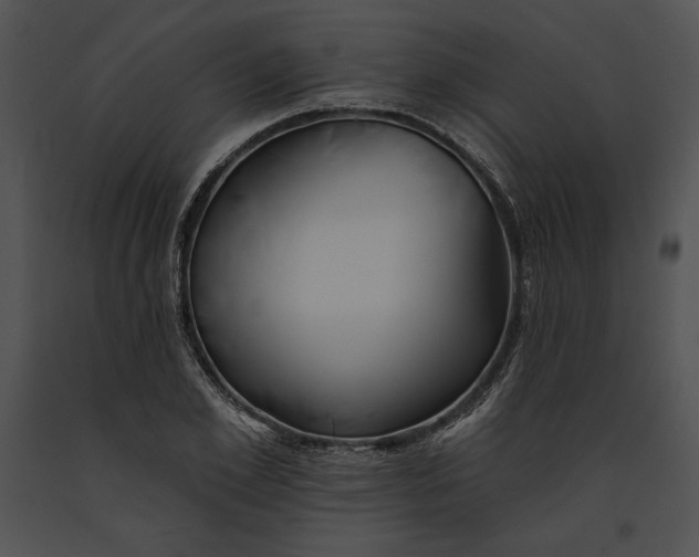 X0000091170981200708301152