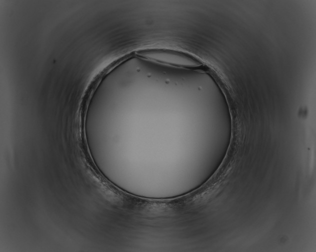 X0000091170982200708301152