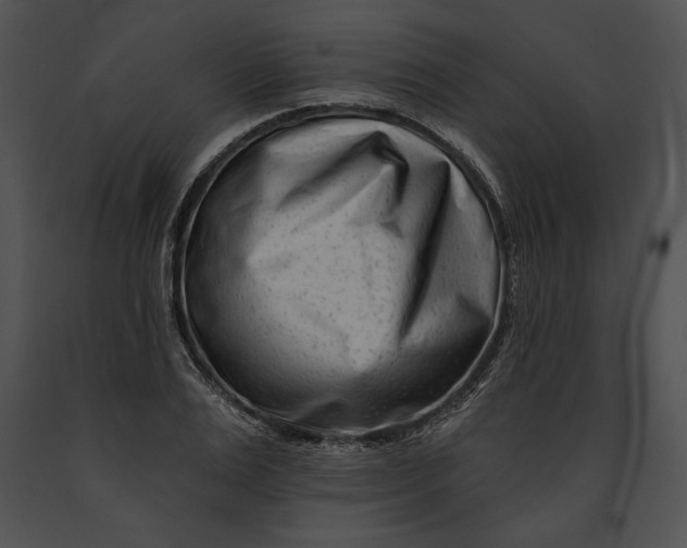 X0000091170983200708301152