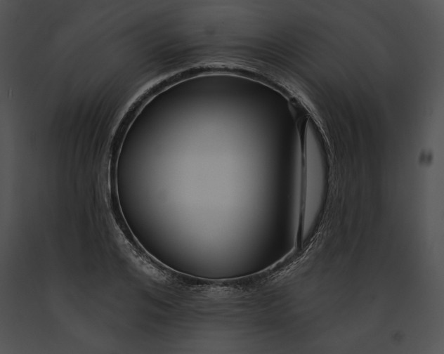 X0000091170984200708301152