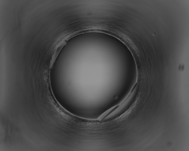 X0000091170985200708301152