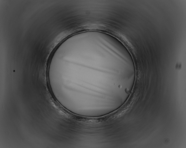 X0000091170986200708301152