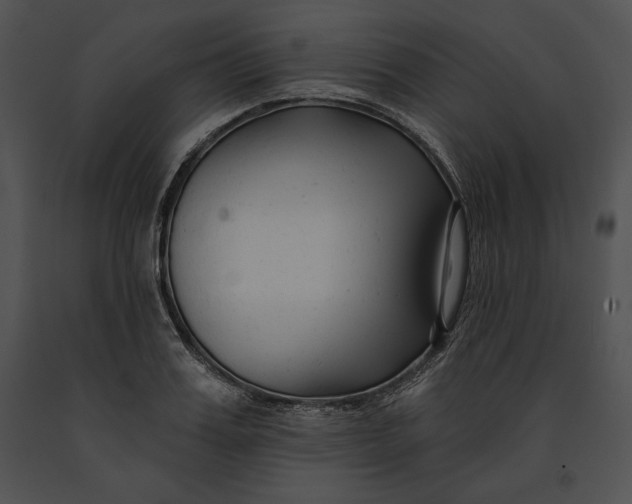 X0000091170987200708301152