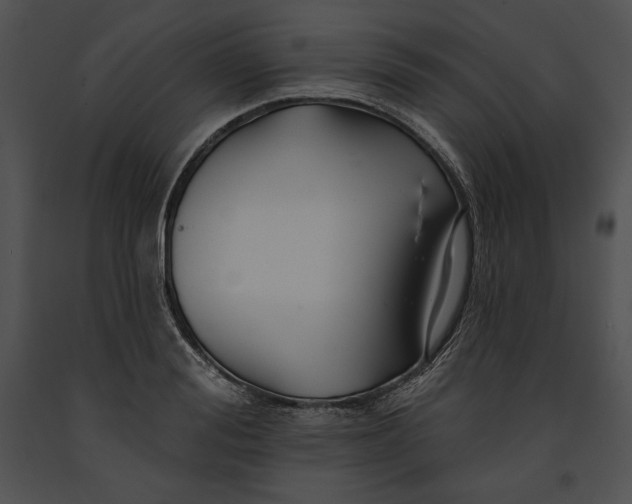 X0000091170988200708301152