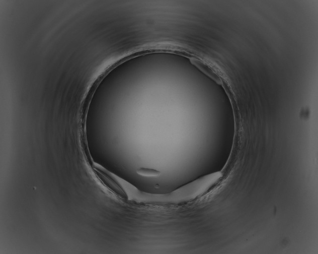 X0000091170989200708301152