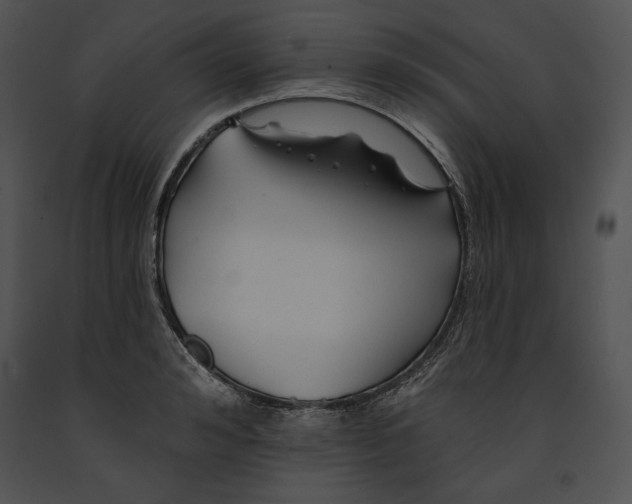 X0000091170992200708301152