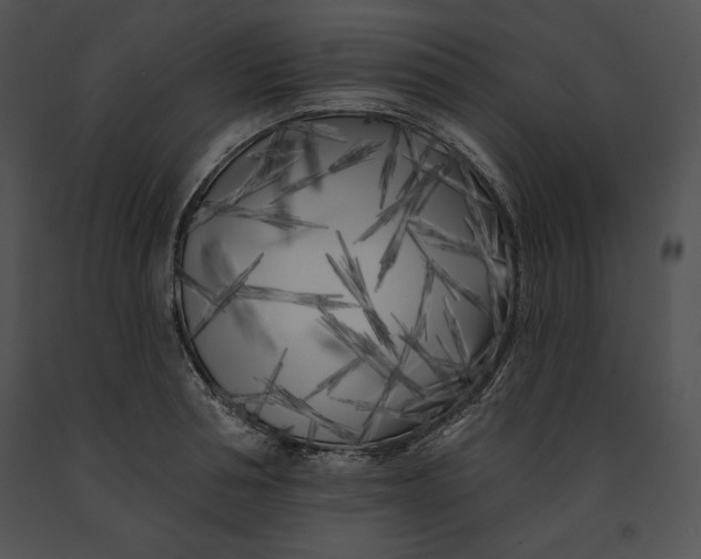 X0000091170994200708301152